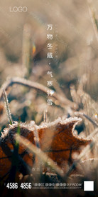 小雪
