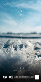 小雪