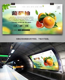 葡萄柚展板展架海报挂画灯箱单页