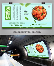 沙糖桔展架灯箱易拉宝展板海报