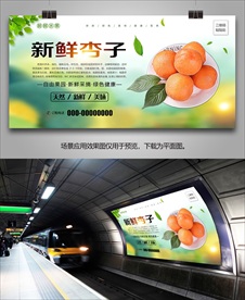 杏挂画灯箱展板易拉宝单页展架