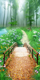 树林景观路客厅过道3D玄关