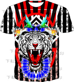 老虎 条纹 男装 印花