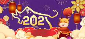牛年 2021年