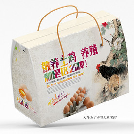 鸡蛋包装