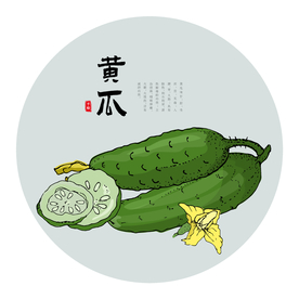 黄瓜手绘
