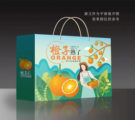 橙子包装 橙子礼盒 水果包装