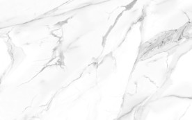 最新 鱼肚白爵士白 TIF合层