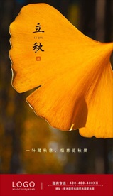 立秋海报 节气海报 银杏叶