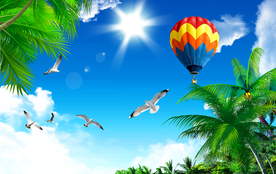 蓝天白云椰树海鸥装饰画