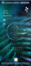 雨水 二十四节气 传统节气海报