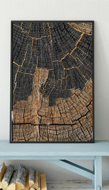 现代烁金水墨金色年轮木纹装饰画