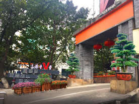 入口罗汉松花境景观效果图