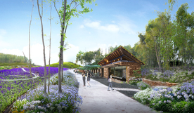 2020乡村花境景观