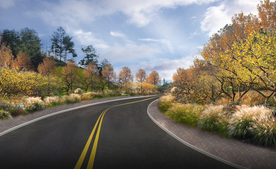 乡村道路花境景观设计