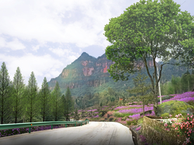 乡村道路花境绿化设计