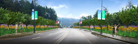 乡村道路花境景观设计