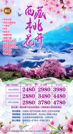 西藏桃花开