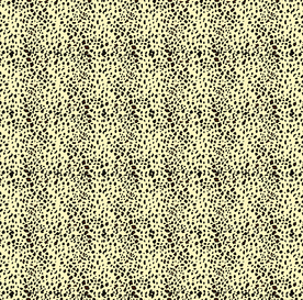 豹点