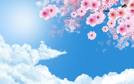 桃花春季背景