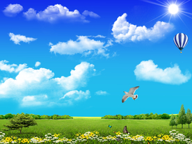 蓝天飞翔