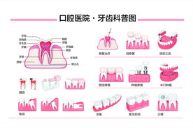 牙齿科普图