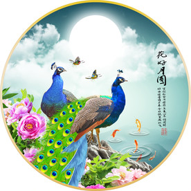 孔雀
