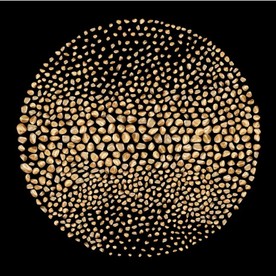 晶瓷现代金色转运鹅卵石装饰画