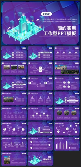 商务会议汇报项目介绍PPT