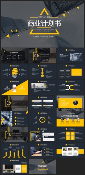 商务会议汇报项目介绍PPT