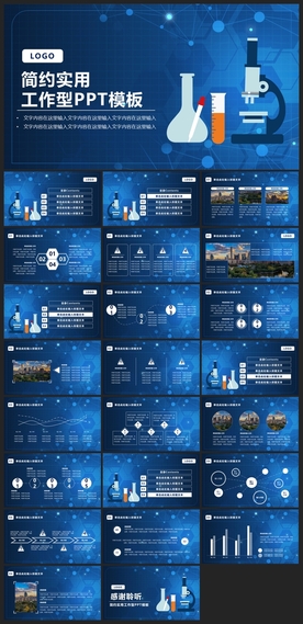 商务会议汇报项目介绍PPT