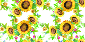 葵花
