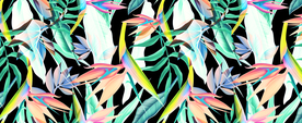 叶子