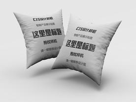 抱枕智能贴图