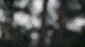 雨水打在镜头上视频素材