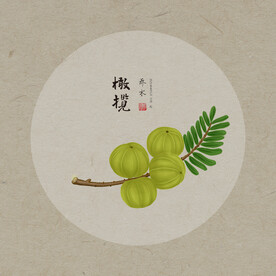 手绘橄榄