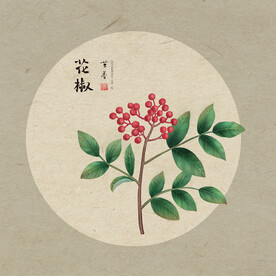 手绘植物食材