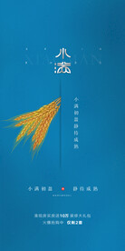 24节气小满