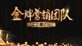 优秀团队 地产