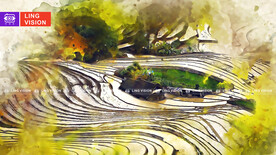 乡村梯田