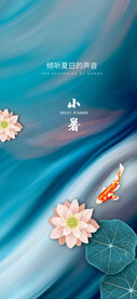 荷叶小暑