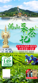沩山采茶