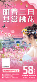 阳春三月共赏桃花