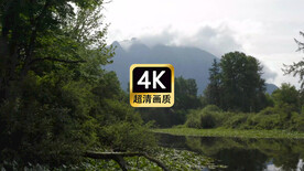 短视频素材远山森林河流美景