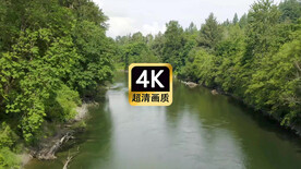 短视频素材航拍森林中的河流