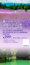 恩施森林花海