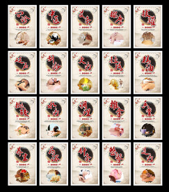 传统中医养生文化展板合集