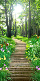 清新树林小路3D玄关