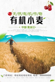 小麦