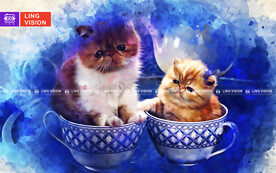 猫